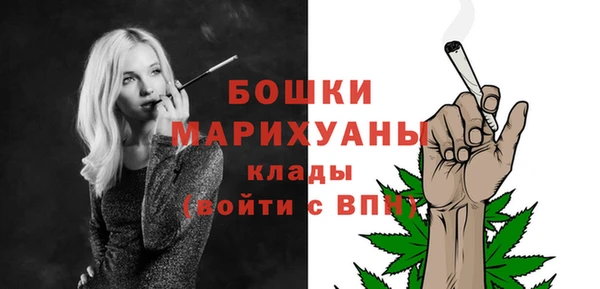 винт Дмитриев