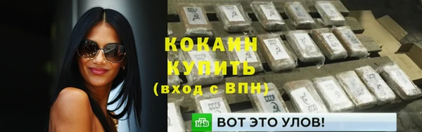 винт Дмитриев