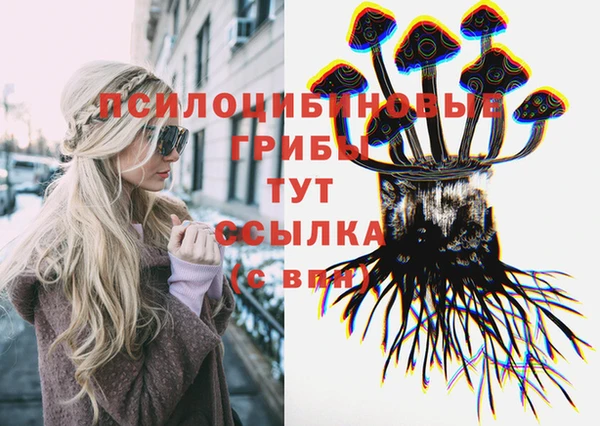мдма Дмитров