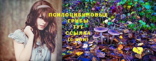 мдма Дмитров